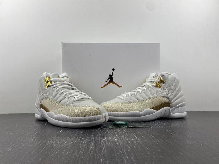 air jordan 12 aj120221