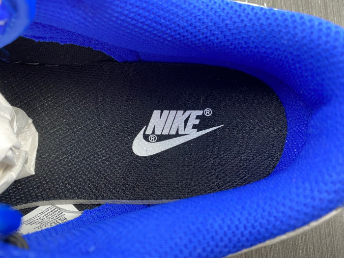 nike dunk low ndl0108