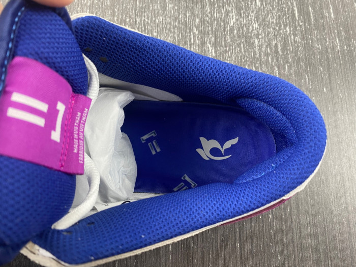 rayssa leal x nike sb dunk low fz5251-001