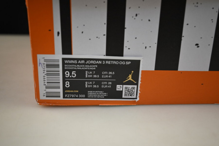 nina Ch*el abney x air jordan 3 fz7974-300