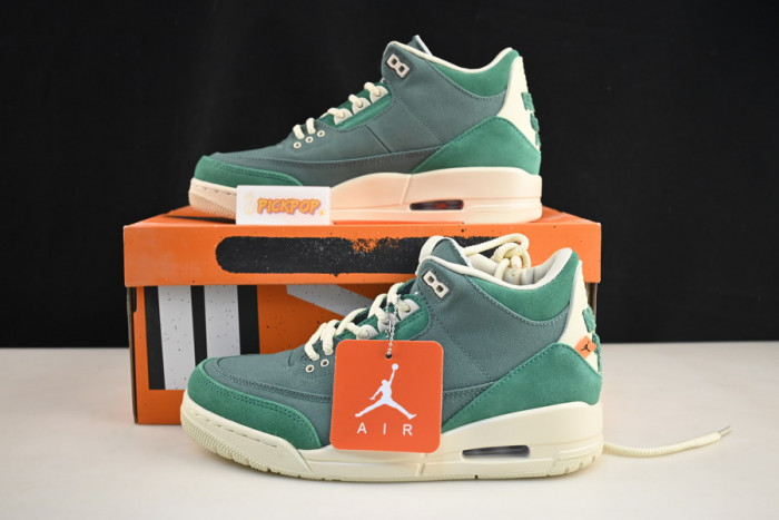 nina Ch*el abney x air jordan 3 fz7974-300