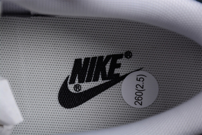 nike sb dunk low nsb0609