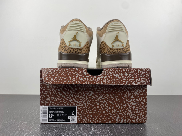air jordan 3 “palomino” ct8532-102
