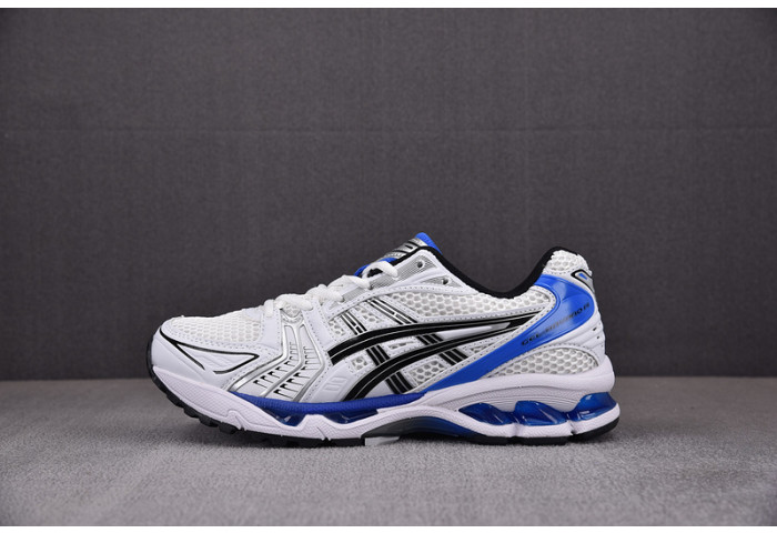 ASICS sneaker 1201A019-116