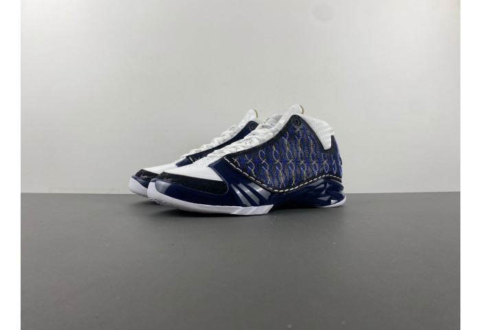 Air Jordan 23 Motorsports 318376-011