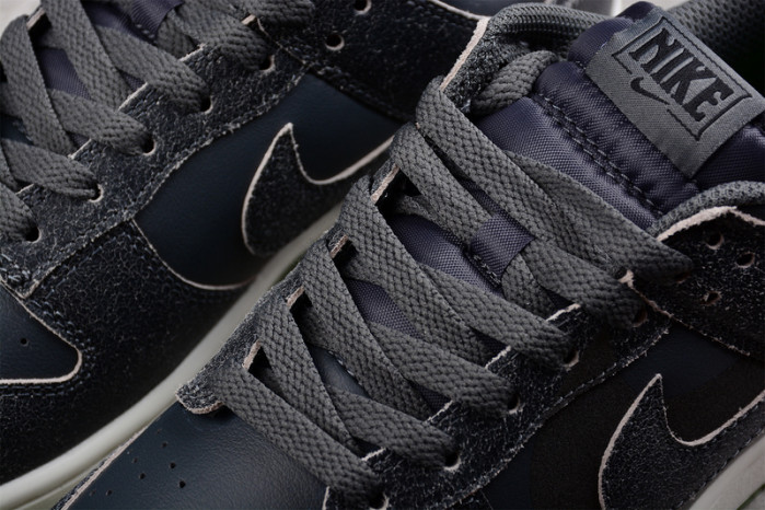 NIKE DUNK LOW SWOOSH SHADOW IRON GREY DQ7681-001