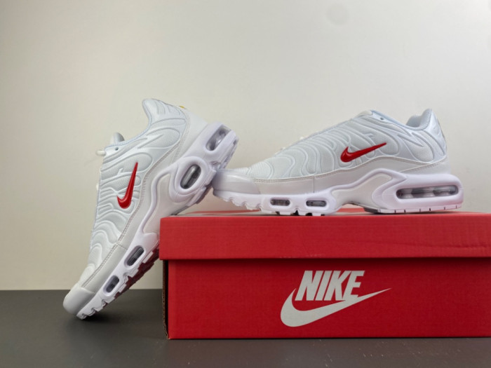 Nike Air Max Plus TN 