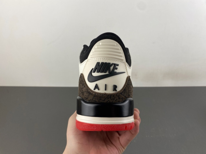 Air Jordan 3 Retro World