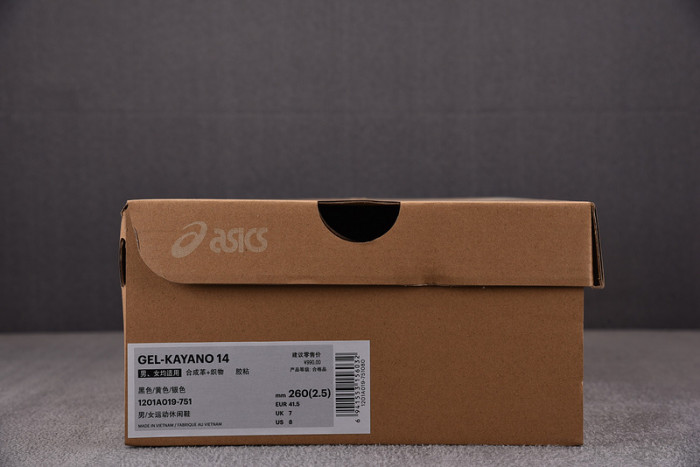 ASICS sneaker 1201A019-117