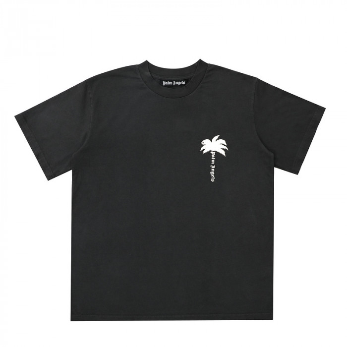 Palm Ange*10